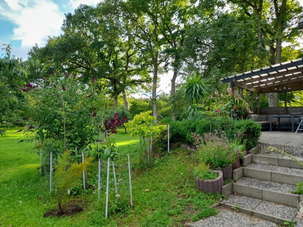Haus Wald Und Wiese Wohnung Wald Ehndorf Eksteriør billede